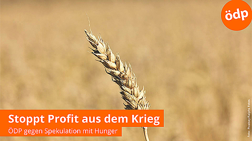 Stoppt den Profit (e_Ralphs_Fotos_Pixabay)