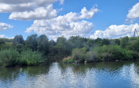 Fischkinderstube Zugwiesen bei Ludwigsburg